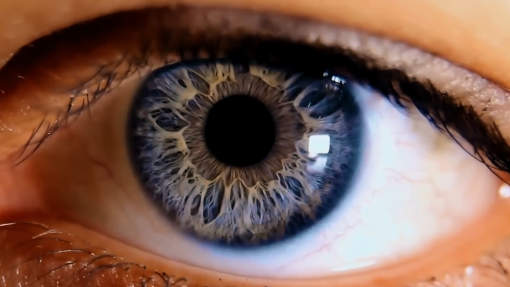 Ethos Bright Eyes Eye Drops