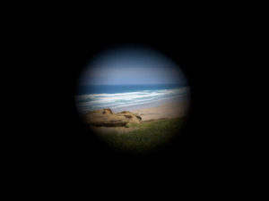 what does extreme glaucoma vision look like