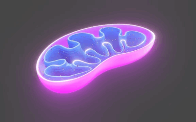 Why Your Cells Hold the Key to Aging and Longevity