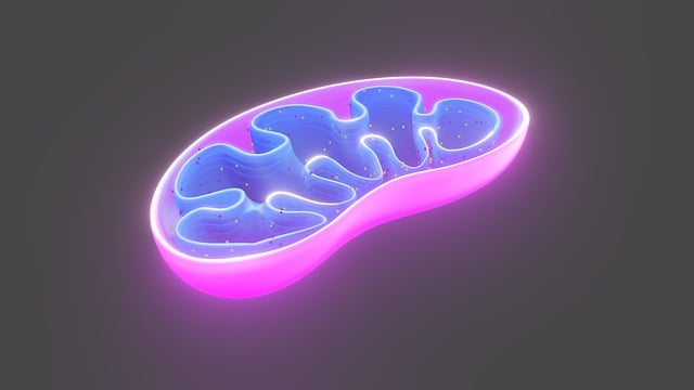 Why Your Cells Hold the Key to Aging and Longevity