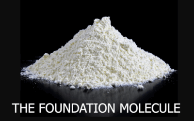 Carnosine Supplement Benefits