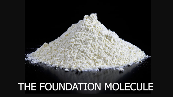 Carnosine Supplement Benefits