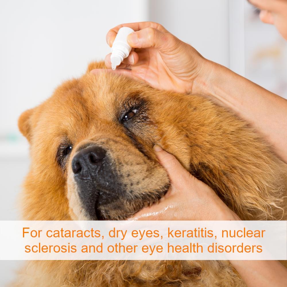 Ethos 'VISION PLUS' Range - Clarifye 2% NAC Carnosine Eye Drops For Dogs and Pets - Image 2
