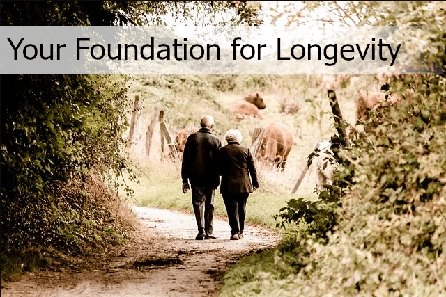carnosine foundation for longevity