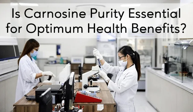 l-carnosine purity